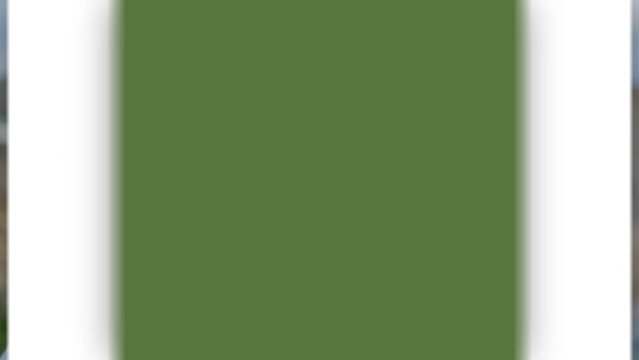 Centre Transition with Effects