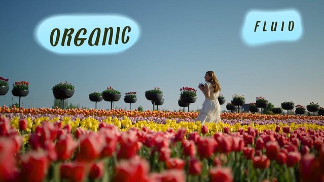 Dreamy Cloud Puff Text Overlay with Soft Edge