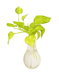 Watercolor illustration of green pothos plant in a clear glass vase, isolated on white background