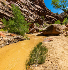Cottonwood Creek Running Through Lower Hackberry Canyon, Grand Staircase-Escalante National...