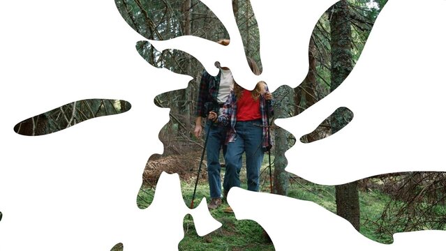 Fluid Transition In-Out