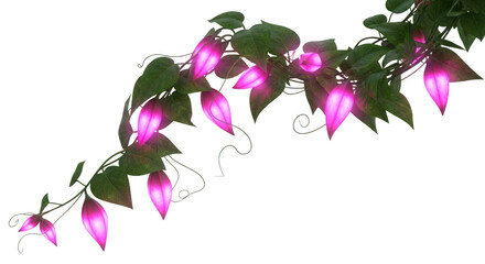 Magical vine with glowing flowers isolated on transparent background, a fantasy element