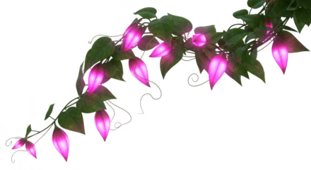 Magical vine with glowing flowers isolated on transparent background, a fantasy element