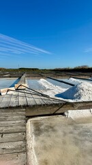 Atlantic salt factory, Morraceira Island, Figueira da Foz, Portugal