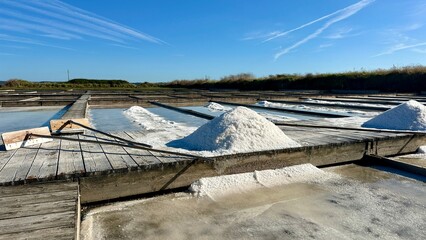 Atlantic salt factory, Morraceira Island, Figueira da Foz, Portugal