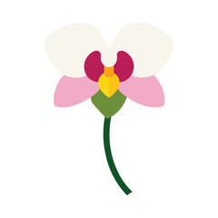 Orchid exotic bloom with artistic petal details for modern floral themes Vector illustration on white background.