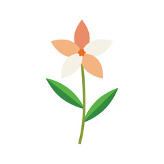 Tuberose fragrant white flower perfect for romantic floral arrangements Vector illustration on white background.