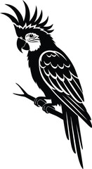 Fototapeta premium Cockatoo parrot vector illustration. Stylized tropical bird logo or icon in black and white. Graphic of a parrot perched on a branch, isolated on a white background. 