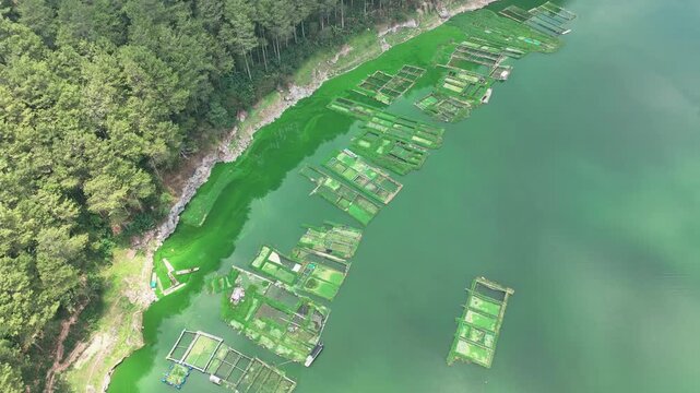 Aerial view of Lake Menjer in Wonosobo. The lake water is green due to its sulfur content and fish cages.