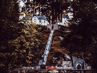 A small cogwheel train descends a steep slope, surrounded by autumn leaves and forest floor.