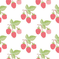 Raspberry branches seamless pattern. Floral background with berries and leaves. Pink, green, brown, blue colors on a white. Summer or autumn season. Vector design for printing on fabric.