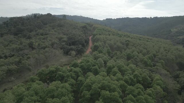 Parque Natural Trilha na Floresta Estrada de Terra Corrida de Trilha Ciclismo de Montanha Cidade do Interior Paisagem Rural Caminho na Natureza Estrada de Cascalho Esporte ao Ar Livre Vegeta&ccedil;&atilde;o Nativa