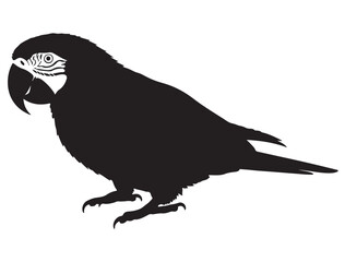 PARROT SILHOUETTE