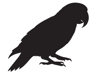 PARROT SILHOUETTE
