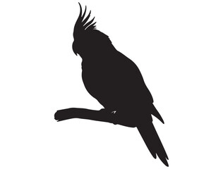 PARROT SILHOUETTE