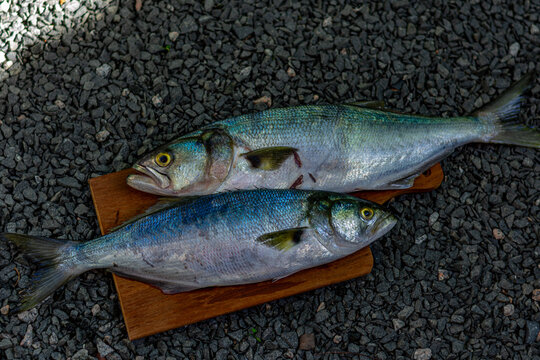 peixes
