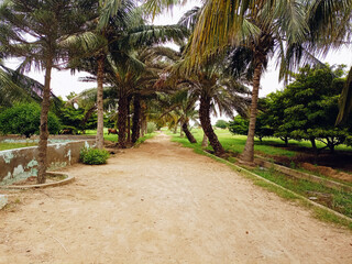 Perfect pastoral day: abundant greenery, blooming garden, rustic farmhouse, and bright trees in...