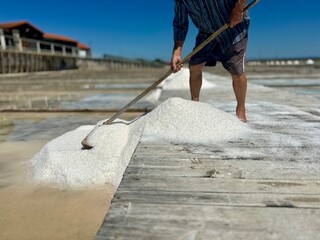 Atlantic salt factory, Morraceira Island, Figueira da Foz, Portugal