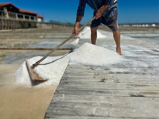 Atlantic salt factory, Morraceira Island, Figueira da Foz, Portugal
