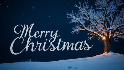 Merry Christmas greeting with snowy tree illuminated at night  