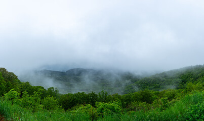 Fog and mist rolling over the mountains of Shenandoah National Park, Virginia, with lush green grass and trees