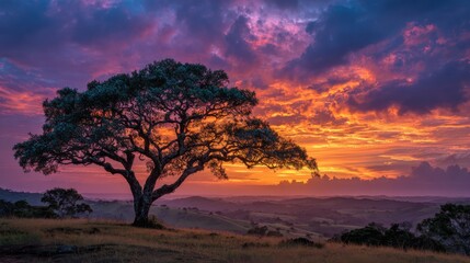 A stunning sunset paints the sky in vivid hues as a lone tree stands on a hillside. The landscape features rolling hills and dramatic cloud formations, creating a tranquil scene.