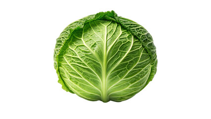 Fototapeta premium Fresh green cabbage vegetable healthy food ingredient isolated on transparent background
