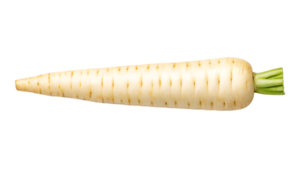 A single fresh parsnip root vegetable with green leafy top isolated on transparent background