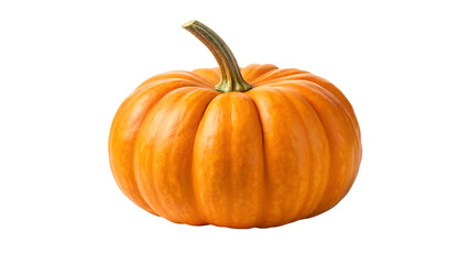 Obraz premium A single ripe orange pumpkin with a curved stem isolated on transparent background