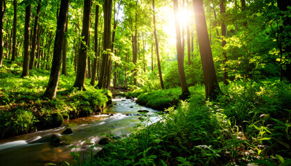 Obraz premium Sunlit Forest Stream with Lush Greenery.