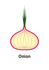 Stylized cross section of a red onion with green sprouts isolated on white background