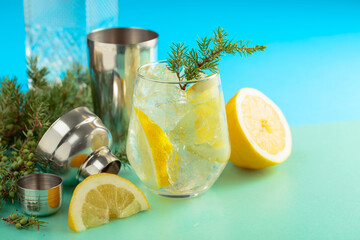 Gin and tonic cocktail with crushed ice and lemon slices.