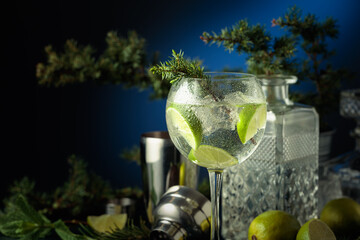 Cocktail gin and tonic with ice and lime slices.
