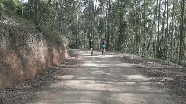Parque Natural Trilha na Floresta Estrada de Terra Corrida de Trilha Ciclismo de Montanha Cidade do Interior Paisagem Rural Caminho na Natureza Estrada de Cascalho Esporte ao Ar Livre Vegeta&ccedil;&atilde;o Nativa
