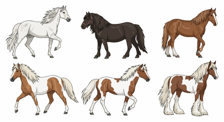 Obraz premium Diverse horse breeds present equine variety, showing different sizes, colors, and distinctive traits. Horse breeds reveal unique forms, coat patterns, and body structures.