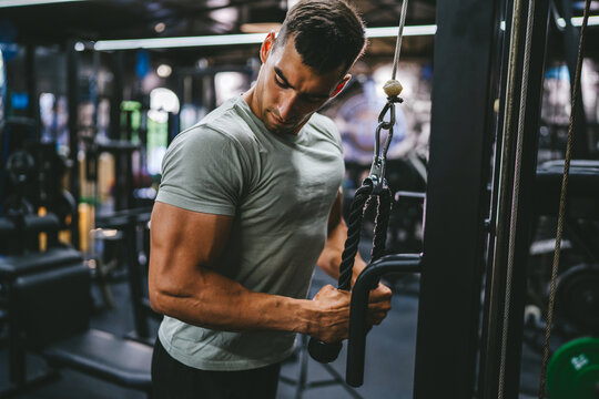 athlete man do exercise for triceps on the exercise cable machine