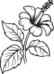 Elegant Black and White Hibiscus Flower Line Art Illustration, hand draw 