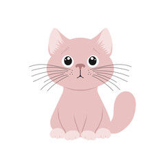 Pink Whiskers the Curious Cat