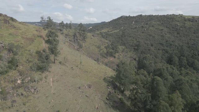 Parque Natural Trilha na Floresta Estrada de Terra Corrida de Trilha Ciclismo de Montanha Cidade do Interior Paisagem Rural Caminho na Natureza Estrada de Cascalho Esporte ao Ar Livre Vegeta&ccedil;&atilde;o Nativa