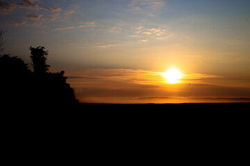 silhouettes of dark trees and grass against the background of dawn