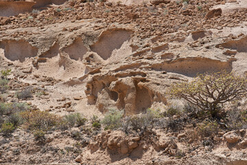 Los Derriscaderos rugged ravine landscape