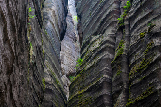 Adrspach Teplice Skaly Rocks natural rock formation towers in Czech Republic. Beautiful towering sandstone rock formations among the forest. Adrspach and Teplice rocks natural park landscape scenic