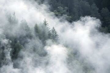 A landscape of hills covered in greenery and fog in the daylight in Canada