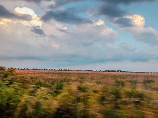 autumn landscape in movement with clouds