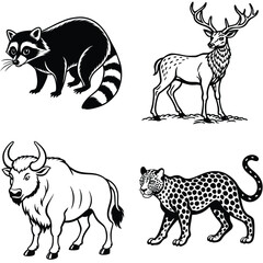 Fototapeta premium Vector art of a black and white illustration of a raccoon with a distinctive striped tail and facial mask stands on its paws