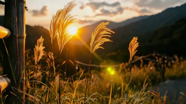 Golden grass field and mountain landscape bathed in warm sunset sunlight, peaceful nature scene with golden hour light over tranquil rural field