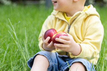 Happy little child sitting on green grass with ripe peaches in the hands. Closeup, selective focus.
