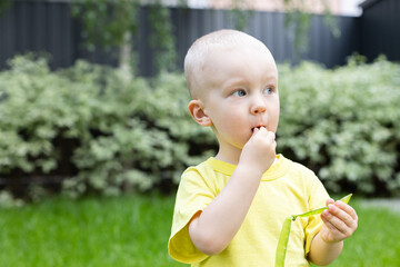 Little boy eats fresh green peas from pod. Closeup. Selective focus.