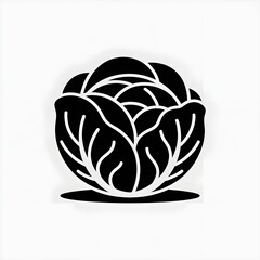 Obraz premium Black color silhouette illustration of a cauliflower with white background 