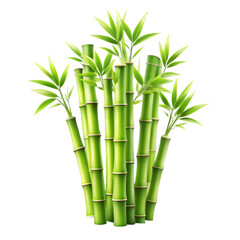 A cluster of vibrant green bamboo stalks with lush leaves grows tall symbolizing